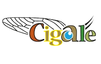 logo logiciel cigale