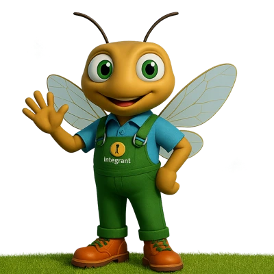 fourmi cigal